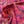 PRETTY IN PINK PAISLEY- PIMA COTTON LAWN