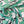 RACCOON - COTTON JERSEY - MINT GREEN