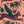EMMA SHIPLEY LYNX VELVET FABRIC - CORAL LUXURY VELVET
