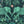 EMMA SHIPLEY - ZAMBEZI VELVET FABRIC - TEAL