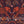 EMMA SHIPLEY - ZAMBEZI VELVET FABRIC - WINE